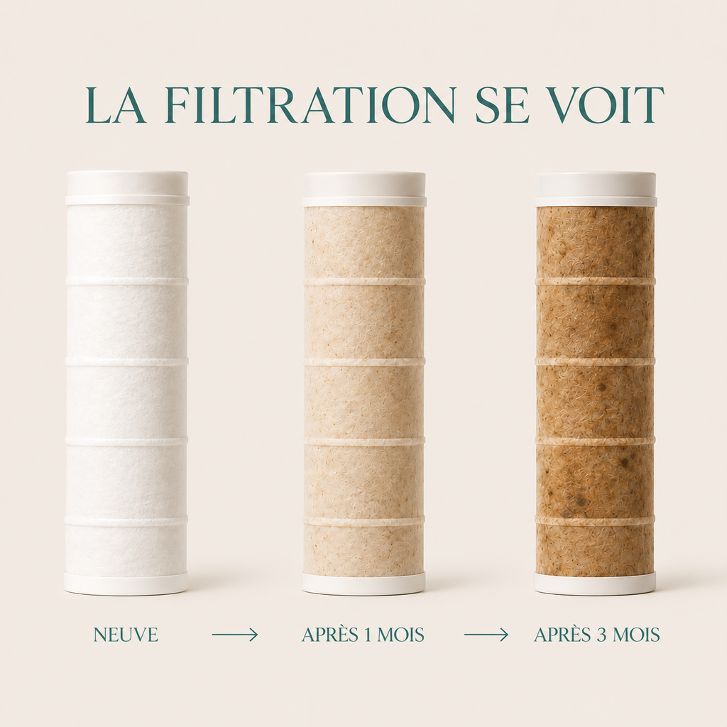 5 filtres pommeau de douche - Sensa